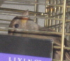 Hey! A camera!