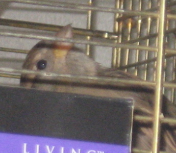 Hey! A camera!